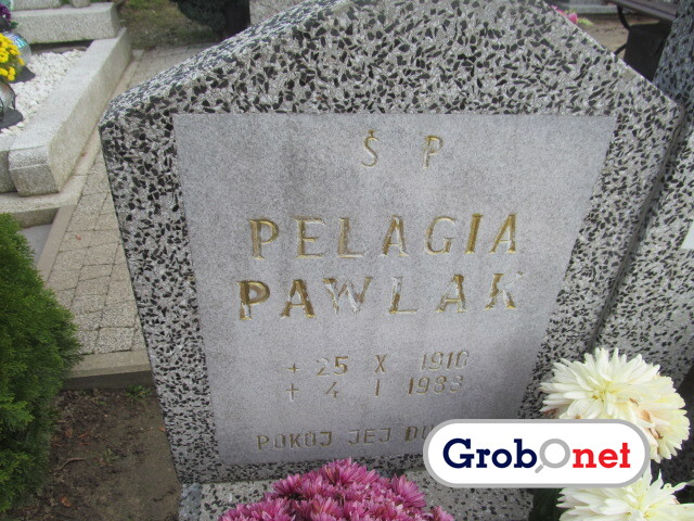 Pelagia Pawlak 1910 Dobrzany - Grobonet - Wyszukiwarka osób pochowanych