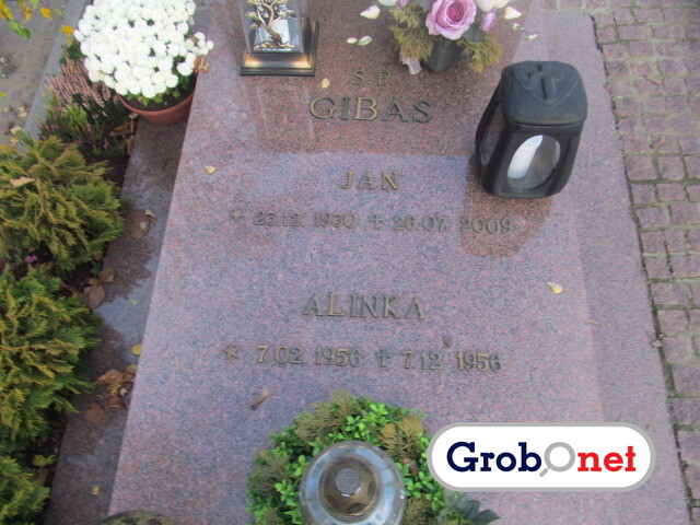 Jan Gibas 1930 Dobrzany - Grobonet - Wyszukiwarka osób pochowanych