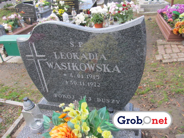 Leokadia Wasikowska 1915 Dobrzany - Grobonet - Wyszukiwarka osób pochowanych