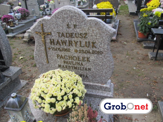Paulina Pachołek Dobrzany - Grobonet - Wyszukiwarka osób pochowanych