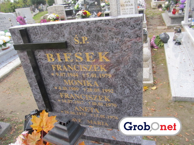 Franciszek Biesek 1917 Dobrzany - Grobonet - Wyszukiwarka osób pochowanych