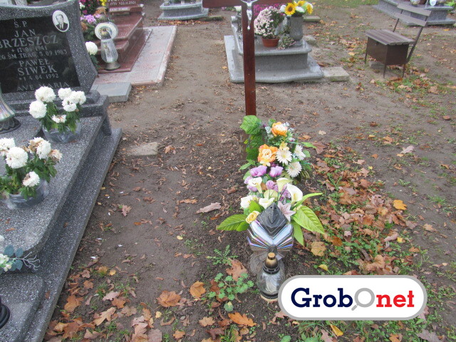  NN Dobrzany - Grobonet - Wyszukiwarka osób pochowanych